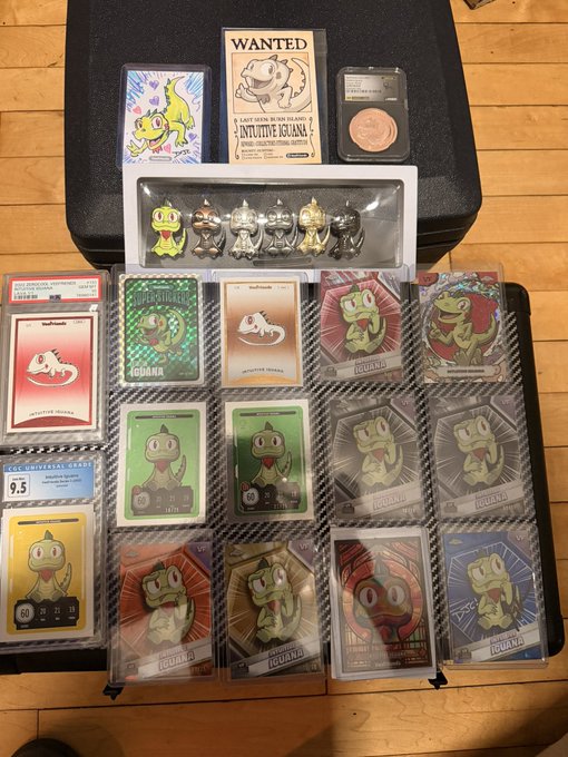 A collection of graded Pokémon trading cards, primarily featuring Psyduck, displayed on cases including a 'WANTED' poster for 'INTUITIVE IGUNA' and various Psyduck character cards.