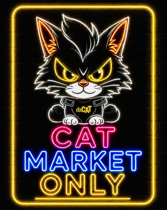A neon-style sign on a dark brick background displays a fierce cartoon cat with glowing yellow eyes wearing a shirt that says 'daCAT', above the colorful text 'CAT MARKET ONLY'.
