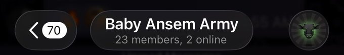 The image shows a group chat interface for "Baby Ansem Army" with 23 members and 2 currently online, alongside a back arrow labeled "70." This relates to the post by visualizing the growing community backing the $BABYANSEM token, emphasizing collective commitment to holding through volatility.