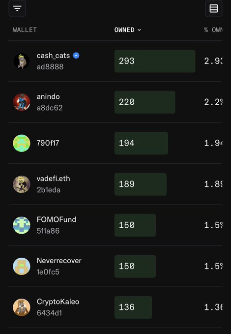 A dark-mode digital wallet dashboard listing top owners with usernames (cash_cats, anindo, 790f17, vadefi.eth, etc.), their owned NFT counts (293, 220, 194, etc.), and percentage ownership.