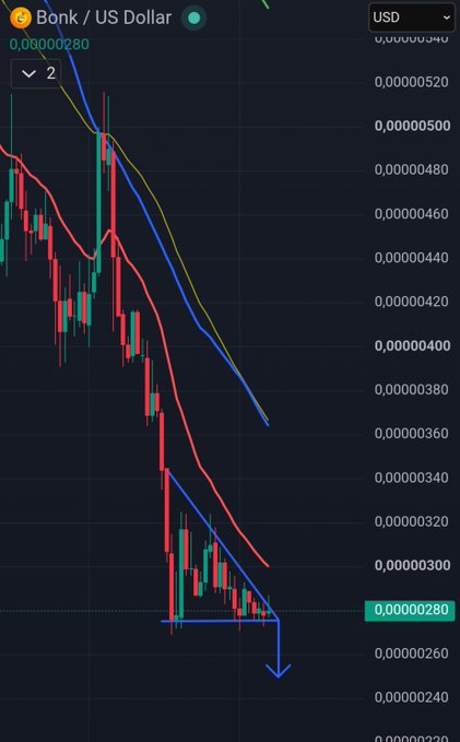 A crypto trading chart showing a sharp downward trend for the Bonk / US Dollar pair, with prices dropping from around 0.00000540 to 0.00000280.
