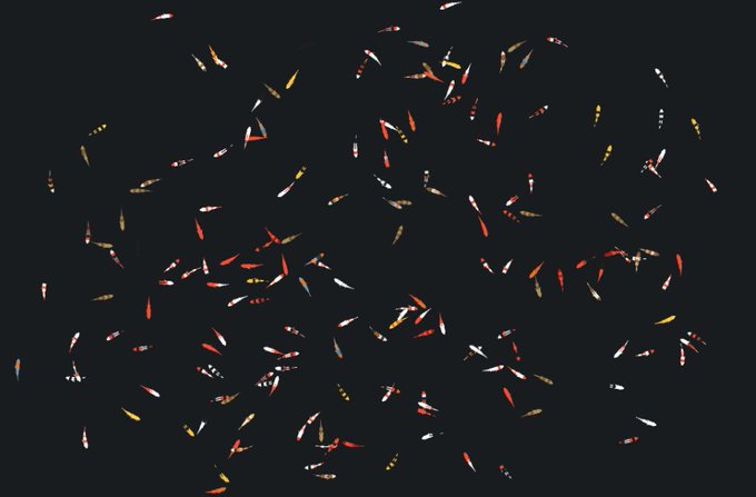 Abstract image of numerous small, scattered colorful particles (red, yellow, white, and orange) floating against a solid dark grey background, resembling sparks or confetti.