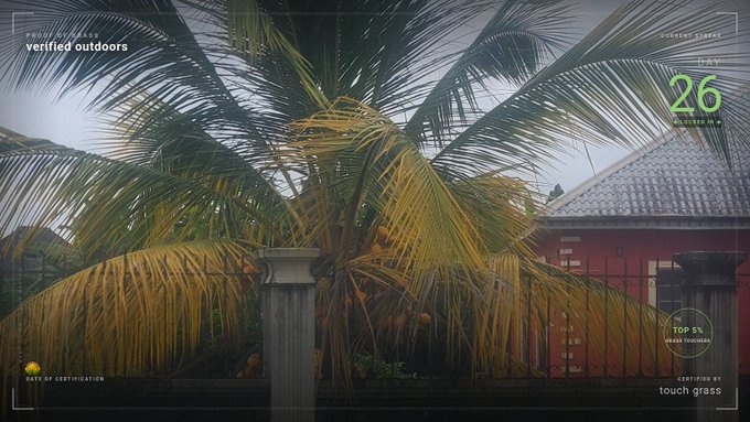 A tropical scene featuring a coconut palm tree and a red building with a tiled roof, overlaid with text including 'verified outdoors', 'DAY 26', 'TOP 5%', and 'CERTIFIED BY touch grass'.
