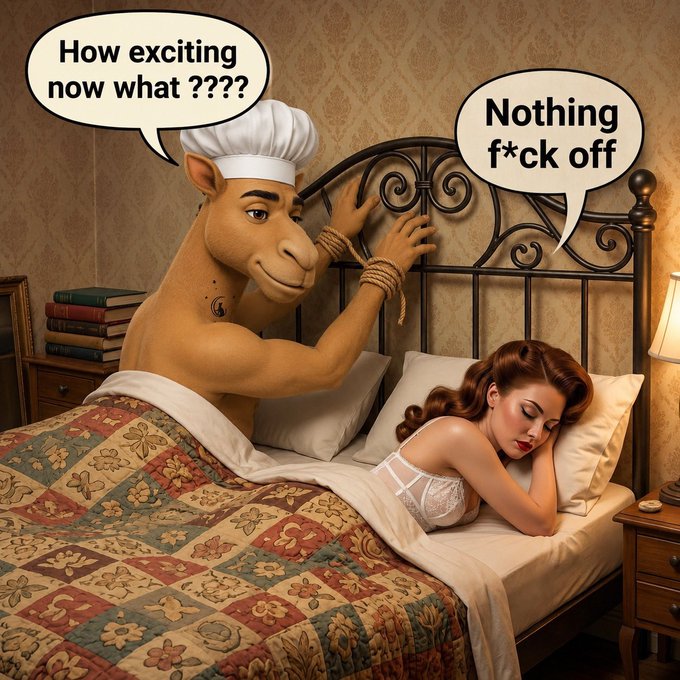 A meme featuring a camel character in bed with a woman; the camel says 'How exciting now what ????', and the woman replies 'Nothing f*ck off'.