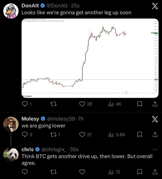 The image shows a Twitter/X thread discussing Bitcoin (BTC) price predictions, with DonAlt posting a TradingView chart suggesting "another leg up soon" while Molesy (@molesy39) replies "we are going lower," and chris (@chrisgrx_) responding that BTC gets another drive up then lower. The screenshots capture a heated debate among crypto traders, humorously illustrating the conflicting market directions in response to the user's panicked question.