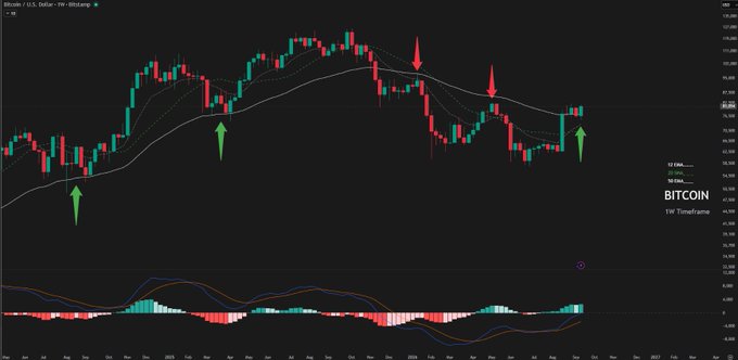 A Bitcoin/USD candlestick chart on Bitfinex displays weekly price action with Bollinger Bands (20-period), annotated with green arrows pointing to historical support levels near the lower band and red arrows marking resistance near the upper band, alongside an MACD indicator at the bottom—visually reinforcing the post's point that waiting for a breakout above the upper Bollinger Band or 50-week SMA is unnecessary, as price action has repeatedly respected these dynamic averages as reaction zones rather than requiring full breakouts for confirmation.