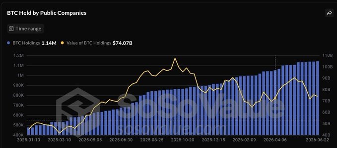 A chart titled "BTC Held by Public Companies" shows public companies holding 1.14M BTC valued at $74.07B, with steady accumulation growth from January 2025 through June 2026, complementing the market snapshot's broader crypto context.