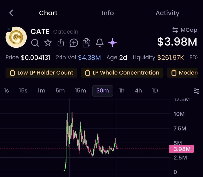 A crypto trading chart showing CATE (Catecoin) token with a market cap of $3.98M, price of $0.004131, 24h volume of $4.38M, liquidity of $261.97K, and 2d age, flagged with 'Low LP Holder Count' and 'LP Whale Concentration'.