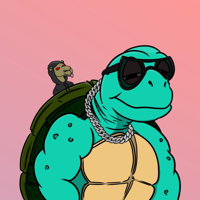 A cartoon illustration of a muscular teal turtle wearing black sunglasses and a silver chain necklace, with a small dark monkey wearing red sunglasses perched on its green shell against a pink background.