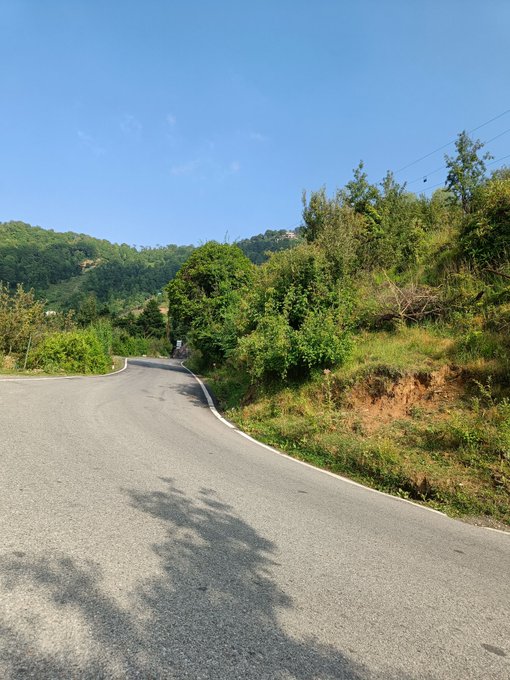 A photograph taken on a sunny day showing a curving asphalt road bordered by lush green trees, bushes, and an exposed dirt embankment on the right side.