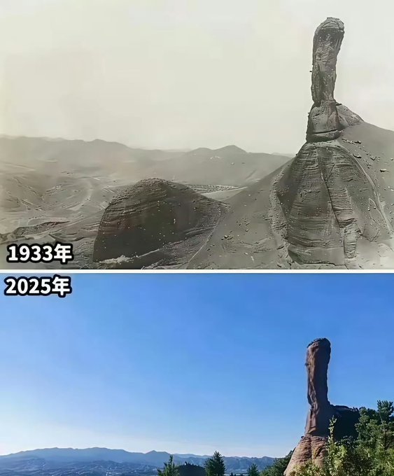A side-by-side comparison showing a rocky mountain landscape labeled "1933年" (1933) with bare hillsides above, and "2025年" (2025) with the same area now covered in green vegetation below, illustrating the dramatic reforestation that has occurred over the past century in response to the question "Why were there no trees in the mountains in the past?"