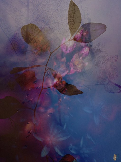 An artistic, ethereal photograph featuring translucent leaves and flowers with pink and blue hues layered over a textured background.