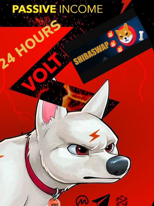A promotional graphic features a white Shiba Inu dog with 'PASSIVE INCOME', '24 HOURS', 'VOLT', and 'SHIBASWAP' text over a red background.