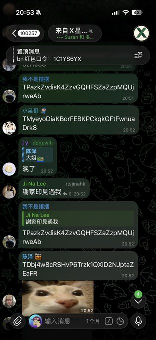 A screenshot of a chat group with over 100,000 members shows messages in Chinese and English, with 'Ji Na Lee' repeatedly sending '謝家印見過我' (I have met Ji Jia Yin).