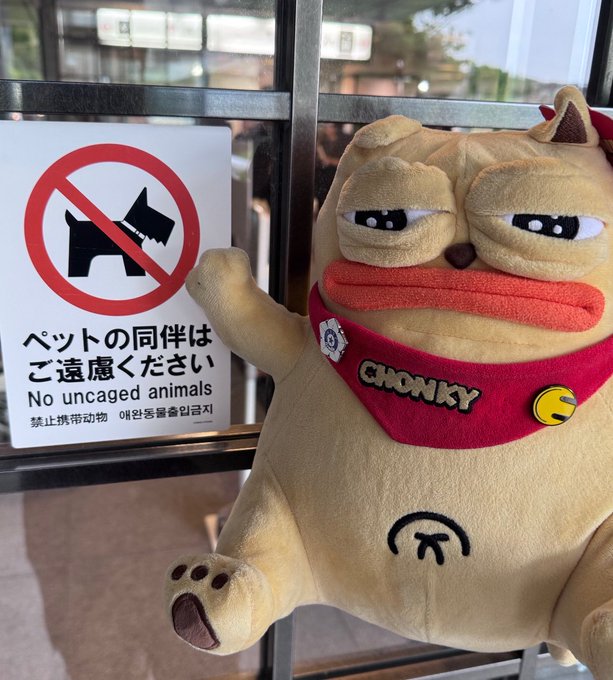 A plush toy named 'CHONKY' (a cat-like character wearing a red bandana) appears to be pointing at a 'No uncaged animals' sign written in multiple languages.