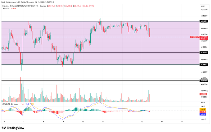 A TradingView candlestick chart for Binance Bitcoin/USDT Perpetual Contract on July 13, 2024, showing price around 63,488 with MACD indicator visible at the bottom.