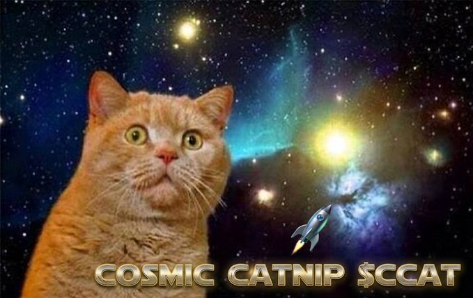 An orange cat with wide eyes sits against a cosmic space background with stars and nebulas, with text reading 'COSMIC CATNIP $CCAT' below.