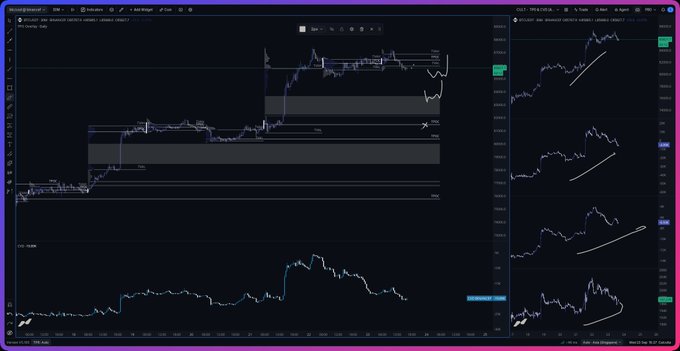 A TradingView chart displays Bitcoin ($BTC) price action with the CVD (Cumulative Volume Delta) indicator below, showing an uptrend with rising highs and highlighted liquidity zones, alongside smaller BTC/USD charts on the right tracking sustained strength into the NY Open.