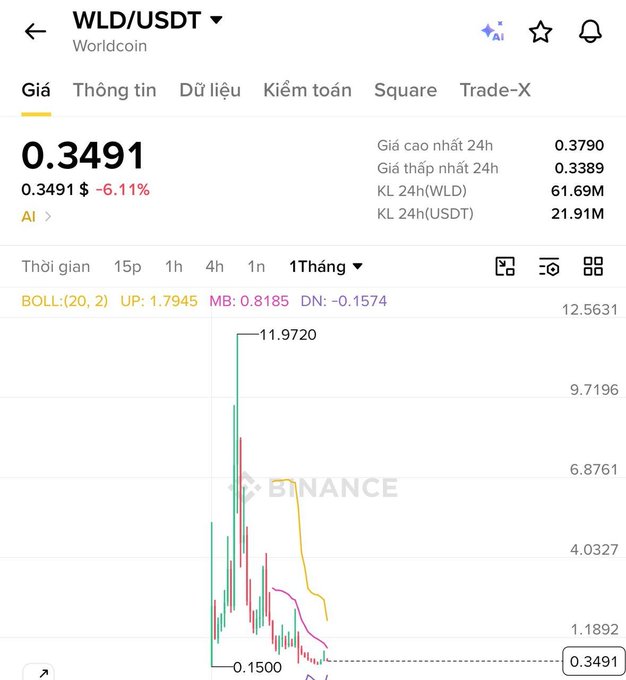 A mobile screenshot of a Binance trading interface for the 'WLD/USDT' (Worldcoin) pair, showing a current price of 0.3491 and a 1-month candlestick chart depicting a massive price spike and subsequent crash from 11.9720 down to 0.1500.