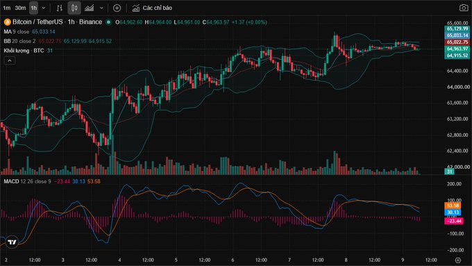 A cryptocurrency candlestick chart on TradingView showing Bitcoin/TetherUS (BTCUSDT) on Binance, priced around 65,033.14, with Bollinger Bands and MACD indicators and the text 'Khói lượng BTC 31'.