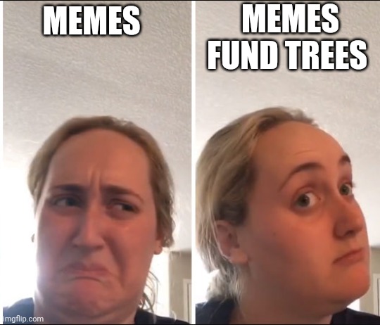 A two-panel meme showing the same woman reacting skeptically to 'MEMES' on the left, and looking surprised on the right at the claim that 'MEMES FUND TREES'.