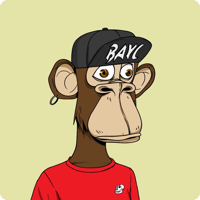 The image features a cartoon monkey wearing a red shirt, black baseball cap, and a skull-shaped badge around its neck. The monkey appears to be looking directly at the camera with an expression of boredom or disinterest. The caption below the image reads "not smart enough to predict which way the market goes from here just a dumb monke in love with his dumb jpegs bored ape yacht club". This phrase is likely a reference to the current state of the stock market, as indicated by the monkey's expression and the caption.
