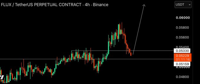 A TradingView chart for FLUX/USDT Perpetual Contract on Binance showing a price around 0.05330 with an upward arrow drawn on it.