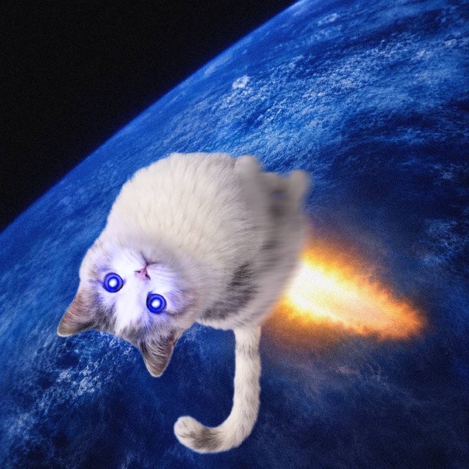 The image features a cat with blue eyes, sitting on top of a rocket ship that has a flame coming out of its back. The cat appears to be floating or flying through space while looking down at the Earth below. The caption for this image reads "For the memes!!! $USDC WOEM!!!".