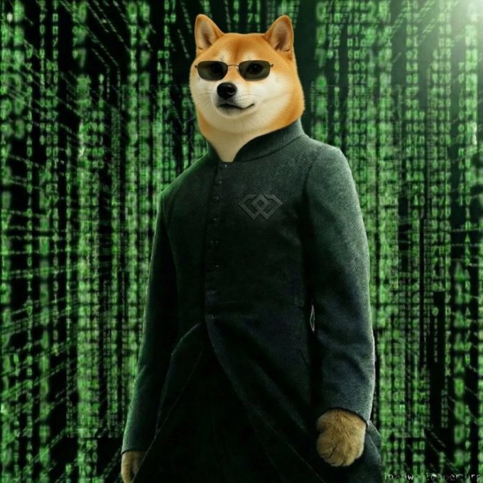 urnberg, a Shiba Inu dog, stands confidently against a green background with white lines and numbers, wearing sunglasses and a black coat with a "G" emblem on the left chest.
3. The dog's fur is brown and white, and it has a pair of ears and a tail.