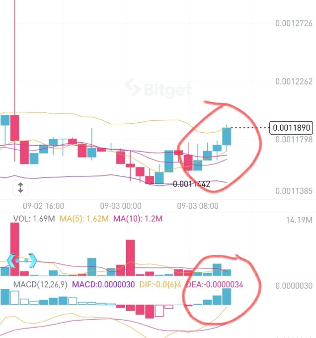 Bitget candlestick chart showing a bullish breakout circled in red, with price near 0.0011890, volume 1.69M, and MACD(12,26,9) turning positive (MACD 0.0000030, DIF 0.0(6)4, DEA -0.0000034).