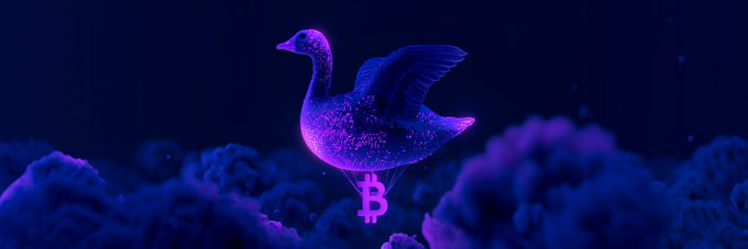 A glowing duck with outstretched wings, adorned with a sparkly pink and purple Bitcoin symbol (₿) on its body, floats above pink and purple clouds against a dark blue starry background.