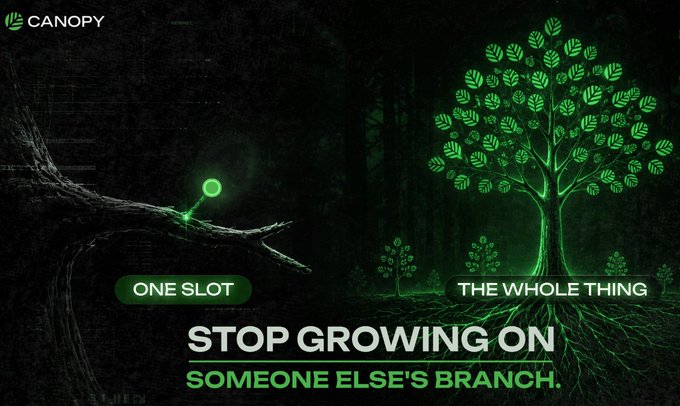 A Canopy promotional graphic featuring a dark forest scene with glowing green tree imagery, contrasting "ONE SLOT" (small seedling on a branch) with "THE WHOLE THING" (large illuminated tree) under the headline "STOP GROWING ON SOMEONE ELSE'S BRANCH."