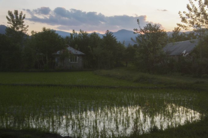 A serene rural landscape at dusk features a flooded rice paddy in the foreground reflecting the cloudy sky, with small houses and trees in the midground and mountains silhouetted against a pink and blue twilight sky in the background.