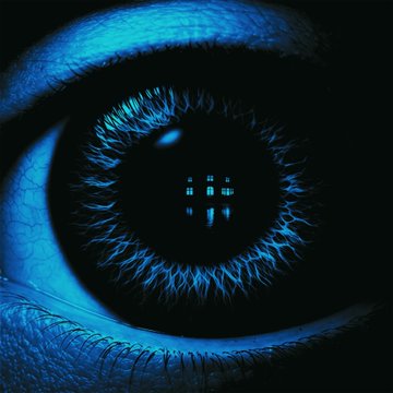 A striking blue-tinted close-up of an eye, with light reflecting in the pupil to reveal a small window reflection, mirrors the introspective nature of the post "I believe in my art"—suggesting that vision and personal conviction are seen directly through the artist's gaze.