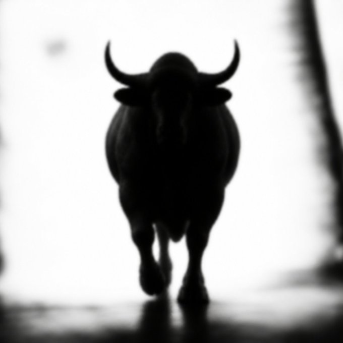 A dramatic black silhouette of a bull charges forward against a stark white background, embodying the powerful "Shadow Bull" persona of the $SHADOW token with its menacing horns and forward momentum suggesting bullish market energy.