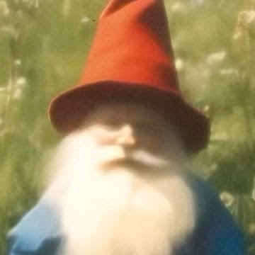 A garden gnome with a red pointed hat, white beard, and blue clothing, shown in a blurry close-up.