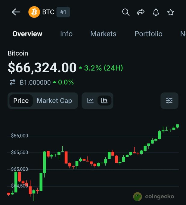 CoinGecko app screenshot showing Bitcoin (BTC) overview with current price of $66,324.00, up 3.2% in 24H, displaying a candlestick chart showing recent upward price movement.