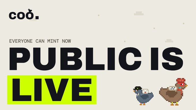 A promotional graphic reading 'coo.' with 'EVERYONE CAN MINT NOW' and 'PUBLIC IS LIVE' in bold black and neon yellow text, accompanied by pixel-art chicken characters on the right.
