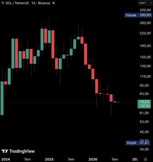 A TradingView candlestick chart of SOL/TetherUS on Binance (1A timeframe) shows Solana's dramatic price collapse from a peak of $295.83 in early 2025 down to $73.03, with a recent low marked at $37.81, visually confirming the post's claim of 10 consecutive months of decline.