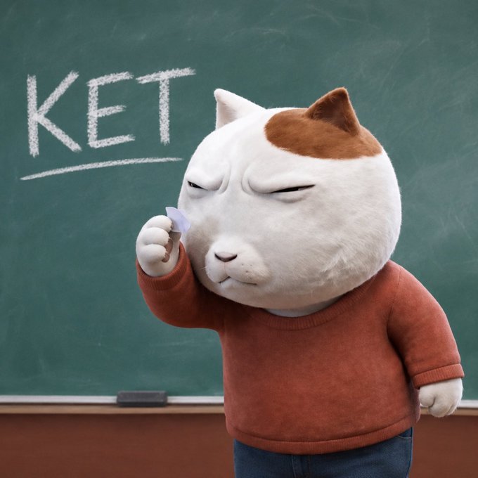 A 3D rendering of a grumpy-looking white cat character in an orange sweater holding chalk next to a green chalkboard with the word 'KET' written on it.