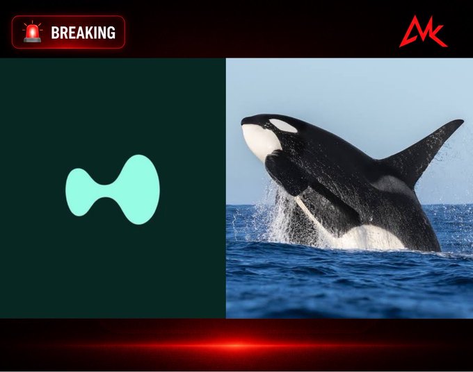 A 'BREAKING' news-style graphic showing the Katana/Kamino whale logo alongside a breaching orca, suggesting a large market move.