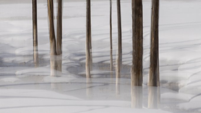 A minimalist, muted painting of thin tree trunks rising from a pale, icy or watery landscape with soft reflections.