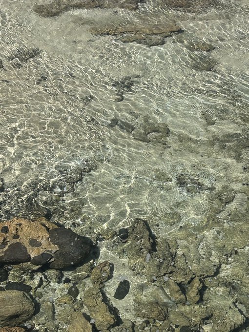 An overhead photograph of clear shallow water over a rocky and sandy seabed, showing rippling light patterns and stones in varying shades of brown and gray.