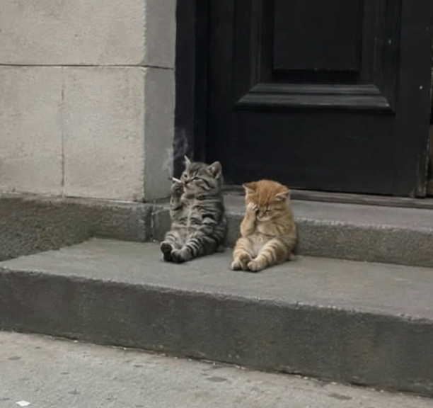 Two kittens sit on a stoop, both holding their paws to their faces in a synchronized "facepalm" gesture, perfectly mirroring the frustration and disbelief of traders reacting to the chaotic market.
