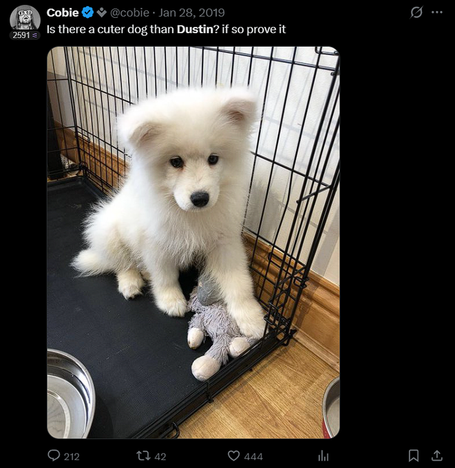 A tweet from Cobie (@cobie) dated Jan 28, 2019 asks 'Is there a cuter dog than Dustin? if so prove it,' showing a fluffy white puppy sitting in a wire crate next to a gray stuffed toy, with 444 likes and 42 retweets.
