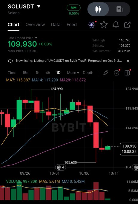 A cryptocurrency trading chart on Bybit displaying SOLUSDT (Solana) at 109.930, showing candlestick patterns, moving averages, and a 24h turnover of 317.23M.