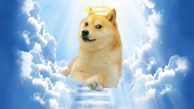 The "Doggo" meme dog (a Shiba Inu) sits serenely among clouds in heaven with a glowing golden halo and angel wings, looking like the patron saint of Dogecoin itself. The heavenly imagery perfectly fits a "happy Doge day" post celebrating the beloved Dogecoin mascot ascending to meme paradise.