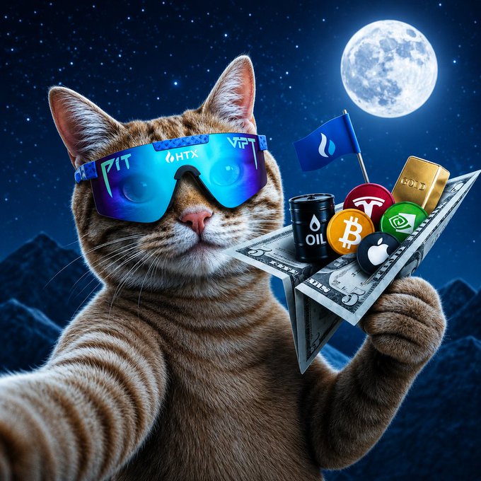 A tabby cat wearing reflective blue sunglasses poses with a paper airplane carrying a gold bar, oil barrel, dollar bills, and crypto coins (Bitcoin, Ethereum, Tesla, Apple, HTX, Sui) against a moonlit starry sky—capturing the "send it" energy of a bullish crypto trader ready to launch into the markets.
