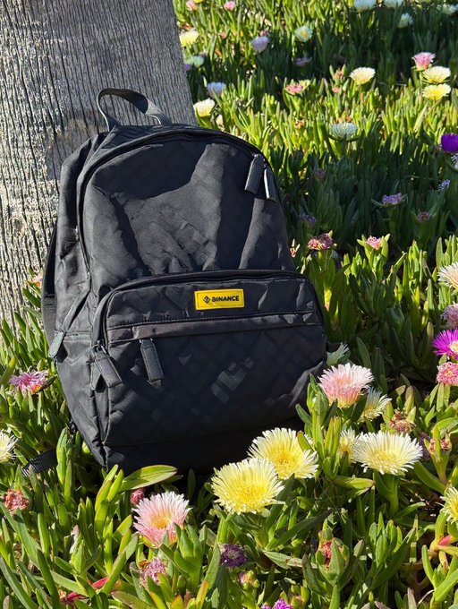 A black Binance-branded backpack rests against a tree trunk amid a vibrant bed of yellow and pink daisies, echoing the French "Bonjour" greeting with a sunny, welcoming outdoor scene.