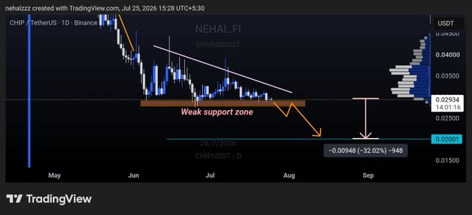 A TradingView 1D candlestick chart of CHIP/TetherUS on Binance from @nehalzzz1 shows price testing a weak support zone near $0.02934, with annotations projecting a bearish target of $0.02001 (a -32.02% drop of -0.00948), reinforcing the post's warning that a break below $0.029 likely opens a path toward $0.020.